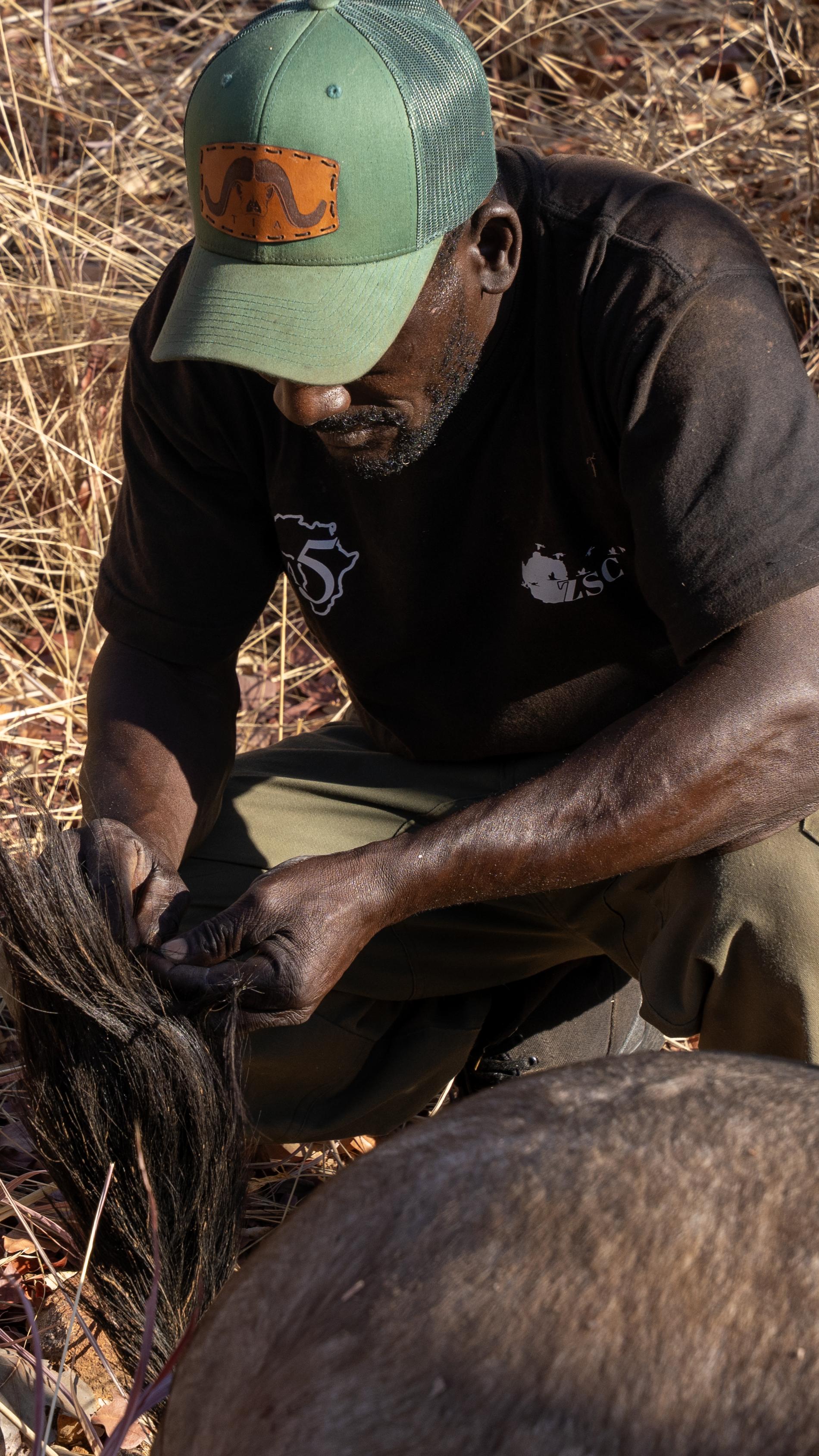 Evergreen Trucker Cap with TIA Buffalo Logo