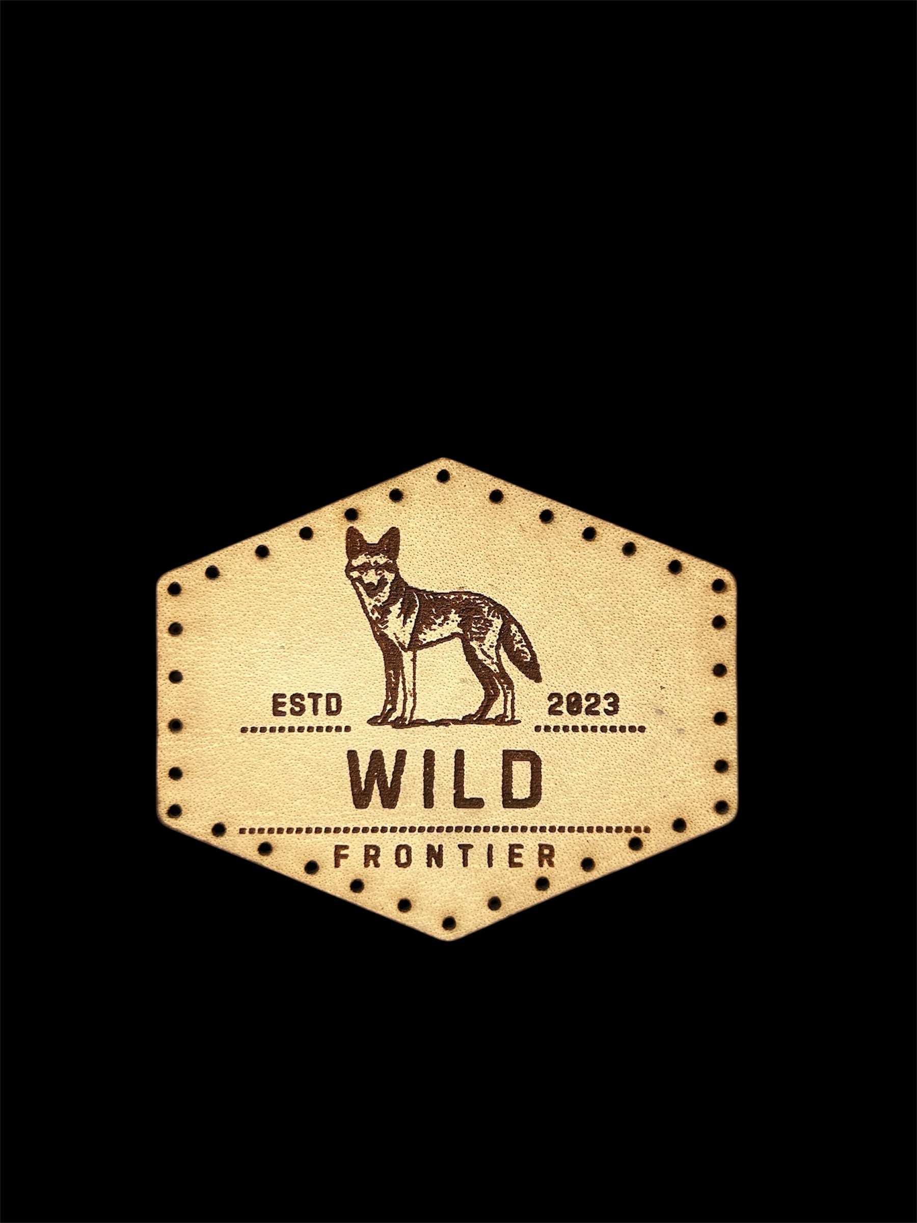 Black-Backed Jackal Natural